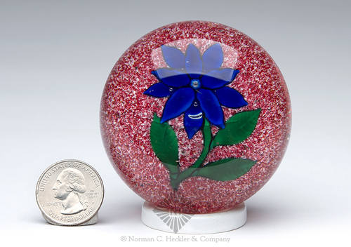 Antique Boston And Sandwich Poinsettia Paperweight